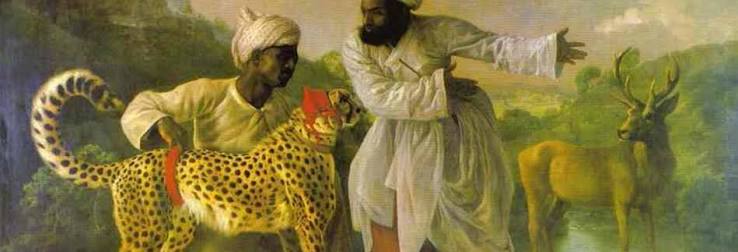 How to Trap a Cheetah (And Why You Shouldn't Have) | The India Forum