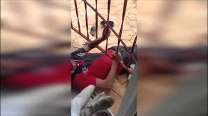 فيما يلي شروط المبايعة للانضمام إلى الجماعة الإسلامية الأحمدية معربةً من كلام الإمام المهدي والمسيح الموعود عليه السلام: Ù†Ø¶Ø§Ù„ Ø§Ù„Ø£Ø­Ù…Ø¯ÙŠØ© Ø³Ø±Ø·Ø§Ù† Ø§Ù„Ø¹Ø¶Ù… Ù…Ø§ Ù‚Ø¯Ø± Ù„Ø£Ù…ÙŠ ÙˆØ£Ø­Ù„Ø§Ù… Ù‚Ø¯Ø±ØªÙ„Ù‡Ø§ ÙˆÙ‡ÙŠ Ø¨Ø®Ø·Ø± ÙƒØ¨ÙŠØ± ÙˆØ·Ù† Ø§Ù„Ø¯Ø¨ÙˆØ±