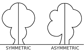 Maybe you would like to learn more about one of these? Symmetry Wikipedia