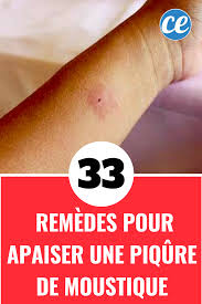 33 remedes incroyablement efficaces pour apaiser une piqure de moustique piqure de moustique remede piqure moustique moustique
