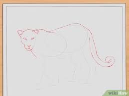 We've all the top trending accessories that are perfect for school, prom and beyond! How To Draw Leopards 11 Steps With Pictures Wikihow