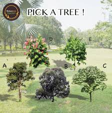 The kuala lumpur city hall (malay: Botaneco Garden And Dewan Bandaraya Kuala Lumpur Launch Plant A Seed Grow A Forest Campaign To Plant Rainforest Trees At Taman Antarabangsa Buk Betty S Journey