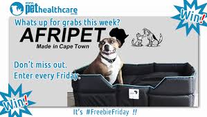 Our pets become family members over the years and we all wish they could stay with us forever. Afripet Tuffee Dog Bed Review Proudly South African Pet Health Care