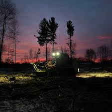 Profile for Clark and Sons Stump Grinding