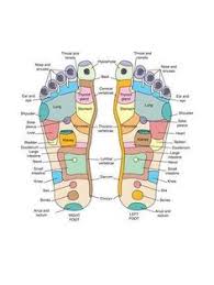 Reflexology Foot Map The Healing Powers Of Your Feet