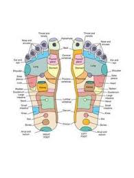 reflexology foot map the healing powers of your feet