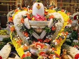Mahashivratri Viratham, மகா சிவராத்திரி விரதம் எப்படி இருக்க வேண்டும் : சிவ  லிங்க பூஜை செய்வது எப்படி? - mahashivratri fasting procedure and dos don'ts  during shivaratri pooja procedure ...