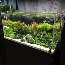 45 Stunning Aquarium Design Ideas For Indoor Decorations Page 26 Of 45 Soopush Aquarium Design Aquarium Decorations Aquarium