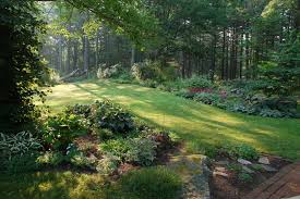 Jun 24, 2020 · learn more. Confessions Wooded Backyard Landscape Beautiful Gardens Wooded Backyard