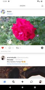 Tap d as an om a lie s se t t ings t o open t he das anom alies. Anom Fur Android Apk Herunterladen