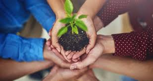 Geleceğe nefes kampanyası kapsamında 2019 yılında toplam 11 milyon fidan dikilmişti. Gelecege Nefes Ol Fidan Dikme Kampanyasi Nedir Nasil Katilim Saglanir Gelecege Nefes Ol Kampanyasina Hemen Katil Son Dakika Haberler