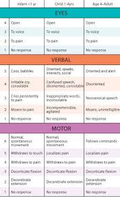 ems recap the glasgow coma scale ems world