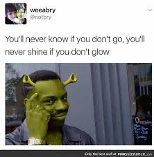 Hey Now Funsubstance Shrek Memes Shrek Funny Memes