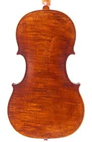 Image result for Viola eminii