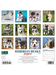 Welcome to mini husky country oregon! Willow Creek Calendar Siberian Husky Puppies Office Depot