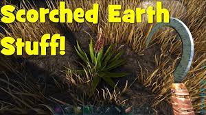 Ark ragnarok where to find cactus sap in this video i give you a quick and easy to follow tutorial on in this short video i show you probably the best way to get cactus sap,a very tough resource to get these are some of the locations that i've found the scorched earth resources and i thought it. Ark Ragnarok Scorched Earth Resource Locations Cactus Clay Salt Sand Sulfur Silk Youtube