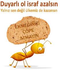 15 Adet Birbirinden Guzel Mustakil Ev Planlari Diy Yesil Parmak Hidroponik Organik Bahcecilik Fikirleri Sukulent