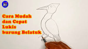 Langkah selanjutnya sketsa gambar burung merak adalah membuat tiga garis lurus di bagian kepala. Cara Mudah Lukis Burung Belatuk Youtube