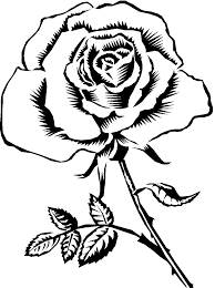 Check spelling or type a new query. Rose Black And White Black Rose Clipart Wikiclipart