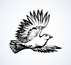 Ships from and sold by amazon.com. White Pigeon Sitting Hand Stock Illustrations 68 White Pigeon Sitting Hand Stock Illustrations Vectors Clipart Dreamstime