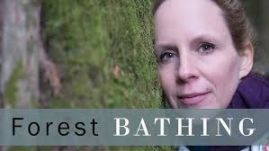 Butchart Gardens an honest review