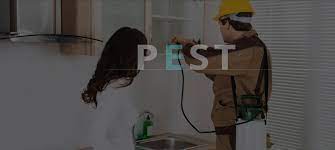 How much does pest control cost in bangalore? Pest Control Services In Bangalore Pest Control Bangalore Bed Bugs Treaments Navigator