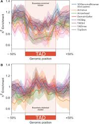 Topologically Associating Domain Tad Boundaries Stable Across Diverse Cell Types Are Evolutionarily Constrained And Enriched For Heritability Biorxiv
