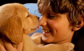 Risultati immagini per CANE CHE LECCA