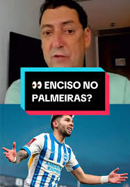 👀 Enciso vai jogar no Palmeiras? O clube paulista tem interesse na  contratação do atleta paraguaio. #CanaldoPVC #PVC #fy #foryou