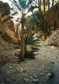 It is a part of the maghreb region of north africa, and. Im Suden Von Tunesien Picture Of Hammamet Nabeul Governorate Tripadvisor