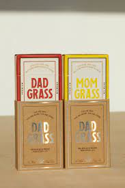 Dad Grass And Mom Grass Pride 2021 Dad Grass In 2021 Dads Love Dad Celebrate Pride
