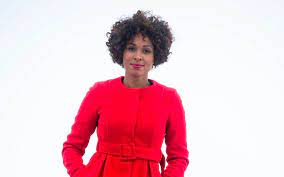 She is an actress and director, known for dengler(2015), eichwald, mdb(2015) and afro.deutschland(2017). Jana Pareigis In Deutschland Wird Zu Wenig Uber Das Thema Rassismus Geredet