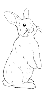 Comment Dessiner Un Lapin Dessin Lapin Comment Dessiner Un Lapin Dessin Colombe
