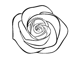 Disegno Di Fiore Di Rosa Da Colorare Acolorecom