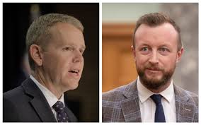 Person critically injured after tree falls near Auckland playground