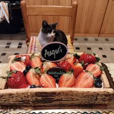 We did not find results for: Ratatouille Vegan Food Torino Italy Torta Cassetta Di Frutta Review Abillion