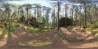 Hdri skies in resolutions of up to 16k for free download in 32. Hdri Forest Slope Hdri Haven