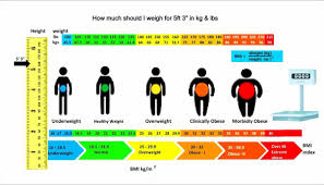 Pin On Health