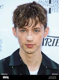 Palm Springs, California, USA. 4th January, 2019. Singer/actor Troye Sivan  arrives at Variety's Creative Impact Awards and 10 Directors to Watch  Brunch Red Carpet 2019 at the 30th Annual Palm Springs International