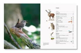 54 kostenlose bilder zum thema tierspuren. News Archiv Die Fachseite Fur Erzieher Innen