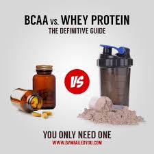 bcaa vs whey protein the definitive