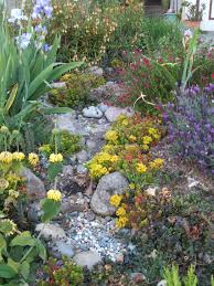 Check spelling or type a new query. Rain Gardens Monterey Bay Friendly Landscaping