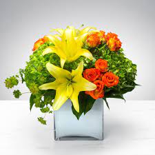 Maybe you would like to learn more about one of these? Soulard S Warm Embrace Riley S In St Louis Mo Rileys Florist
