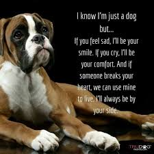 And He Always Was By My Side And Could Read My Moods Everytime Boxer Dogs Funny Boxer Puppies Boxer Dog Quotes