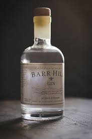 Caledonia Spirits Barr Hill Gin Carey Nershi Gin Bottles Gin Tasting Gin