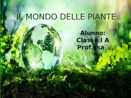 I coleus sono piante originarie delle zone tropicali dell'africa e dell'asia e sono molto apprezzate e coltivate per la bellezza delle loro foglie. Il Mondo Delle Piante Docsity