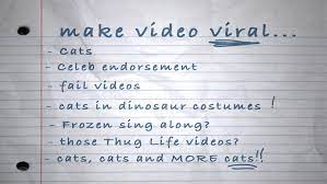 What makes a video viral. Should My Video Go Viral Like An Egg Productions Makes Films For Business And Communities