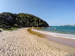 Resultado de imagem para praia