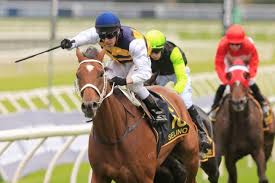 It is best to identify your horse of interest by the color of the jockey's silks. Sydney Cup 2022 Tips Odds Field Results Racenet