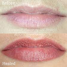 Healed Full Lip Tattoo In 2021 Lip Tattoos Permanent Makeup Lip Tint